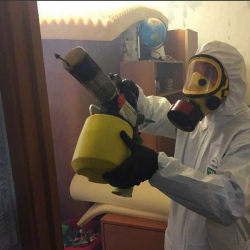 Уничтожение клопов в квартире. Плес